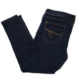 Jordache Skinny Jeans 18
